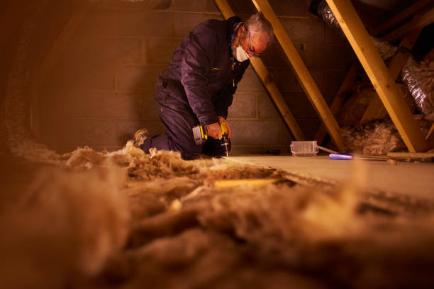 Insulation Inspection Services in Lanai City, HI